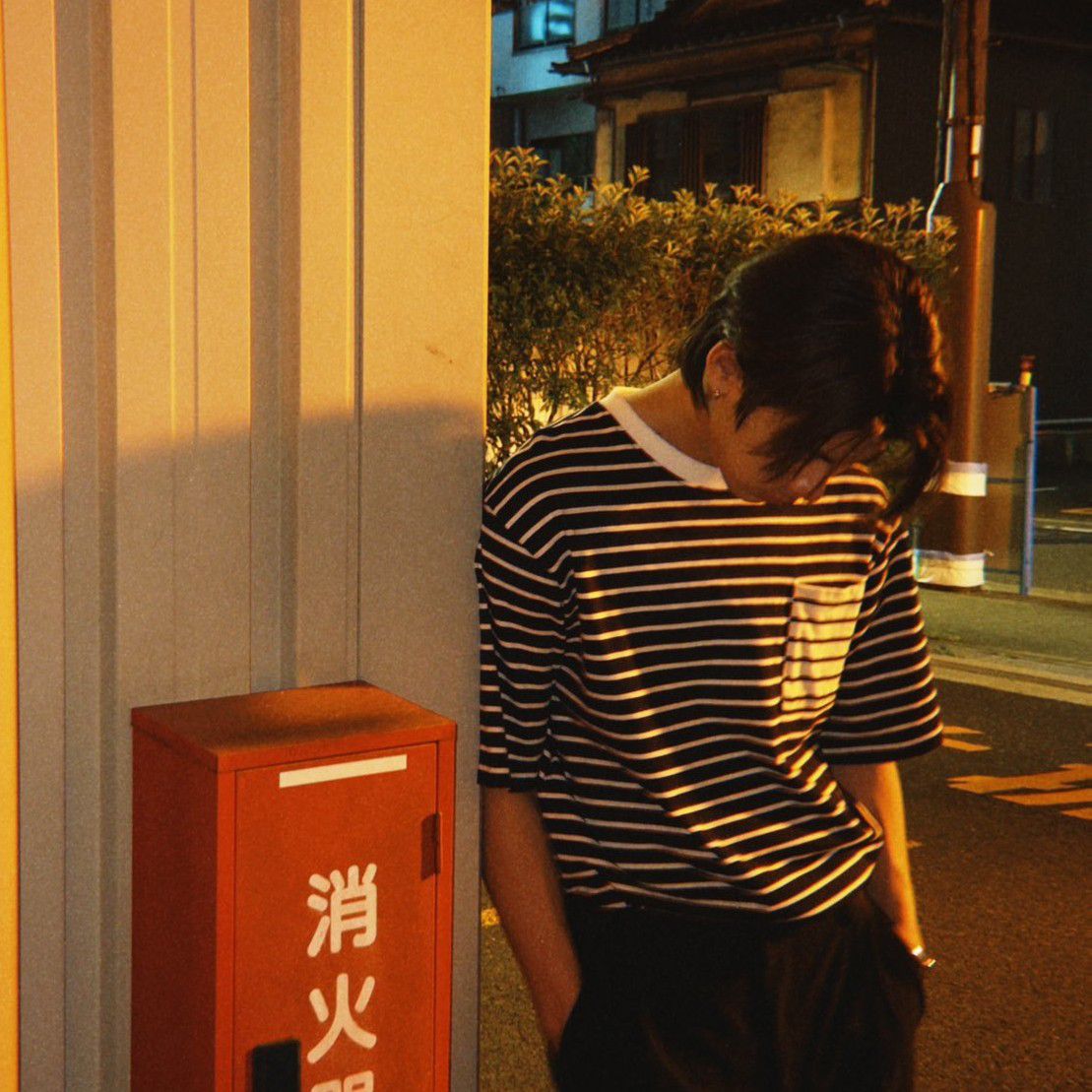 Latest photo of Tui (LYKN)