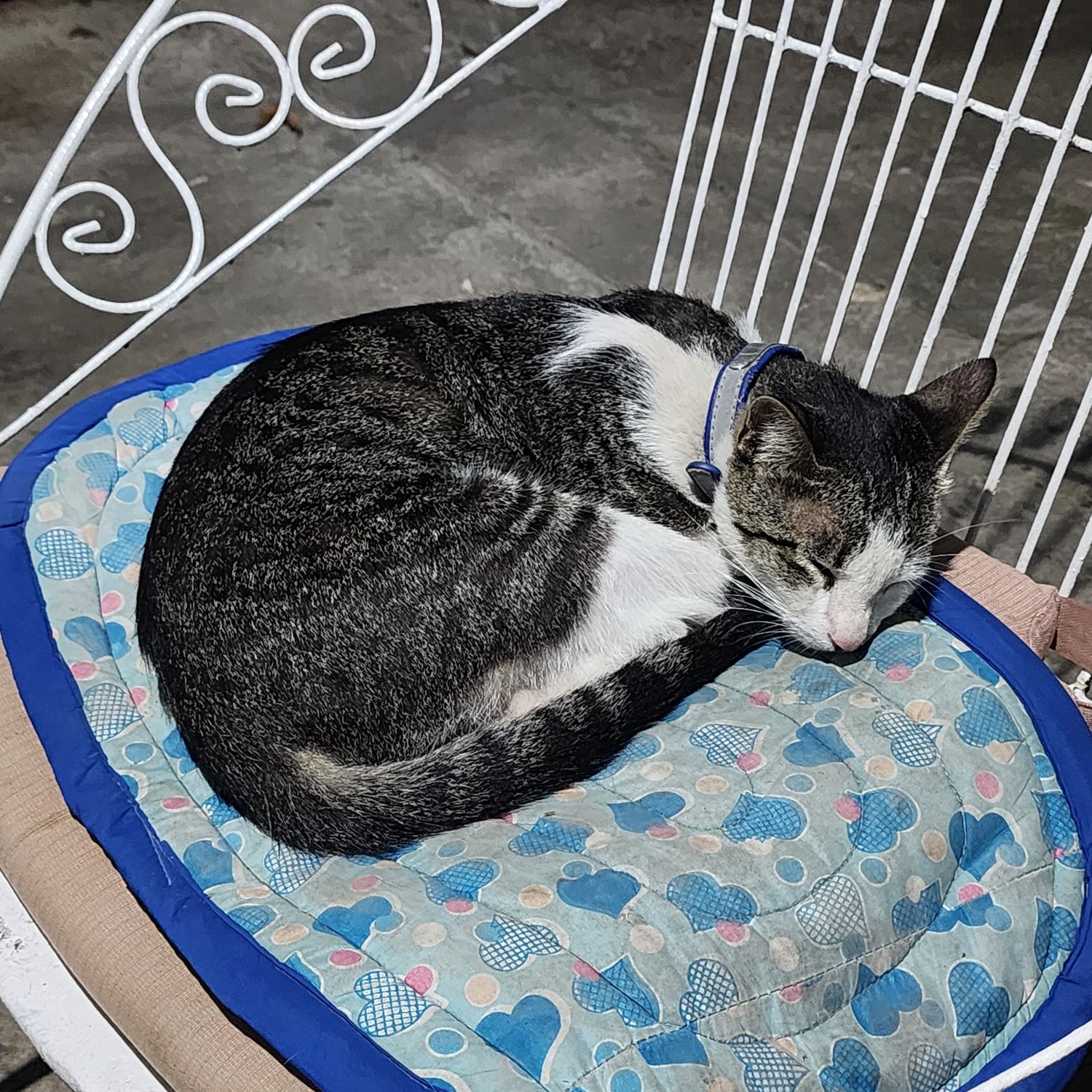 SEVENTEEN粉絲拍下的瞬間