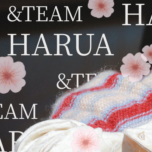 Recent activity shot of Harua (&TEAM)