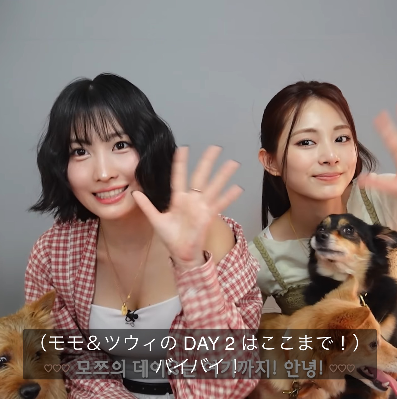 모모 (TWICE) 최근 활동샷