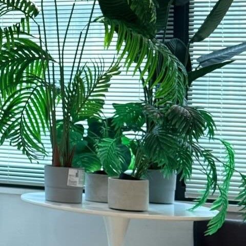 Potret di balik layar Solar (MAMAMOO)