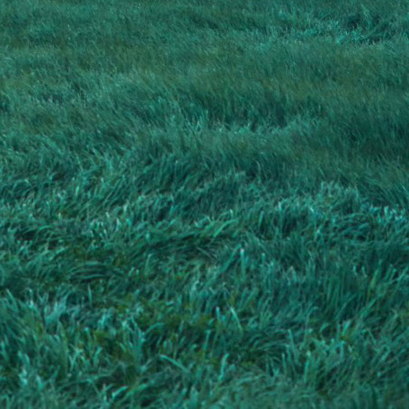 Behind-the-scenes cut of LUCY