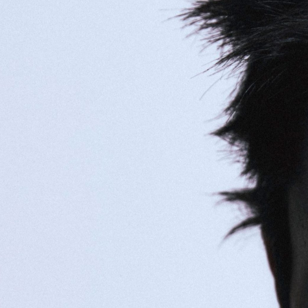 Latest photo of Rowan (MODYSSEY)