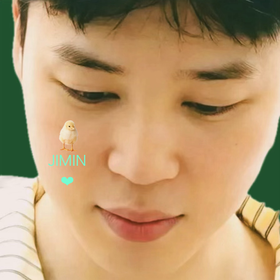 지민 (방탄소년단) 팬이 찍은 순간