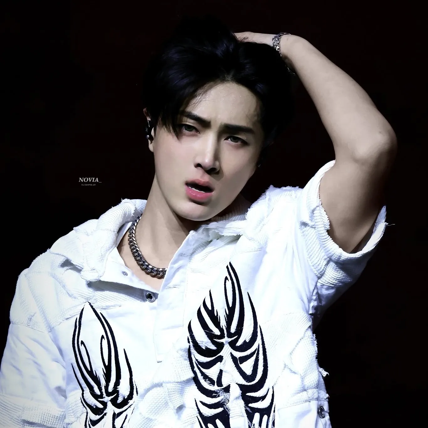 ENHYPEN粉絲拍下的瞬間