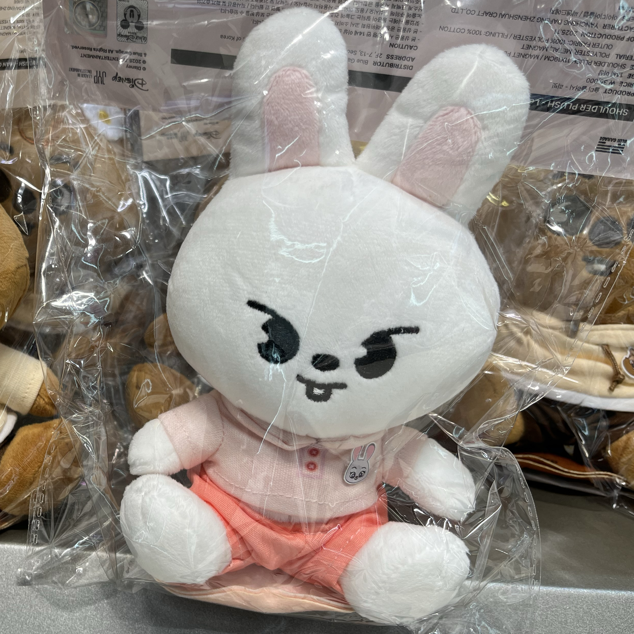 A moment captured by Lee Know (Stray Kids)'s fan