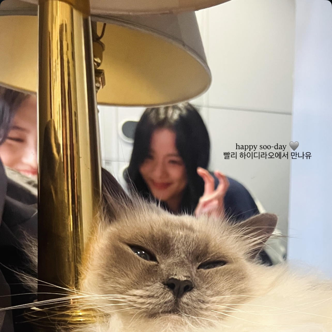 BLACKPINK의 비하인드 컷