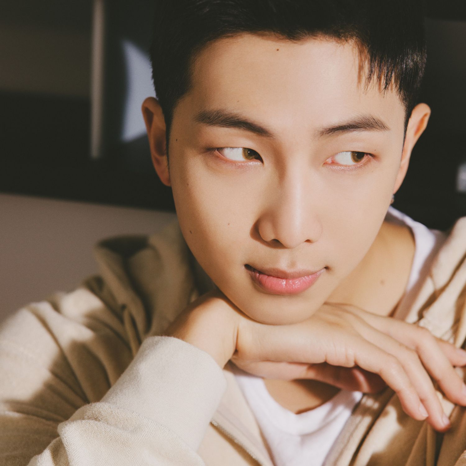 방탄소년단 팬이 찍은 순간