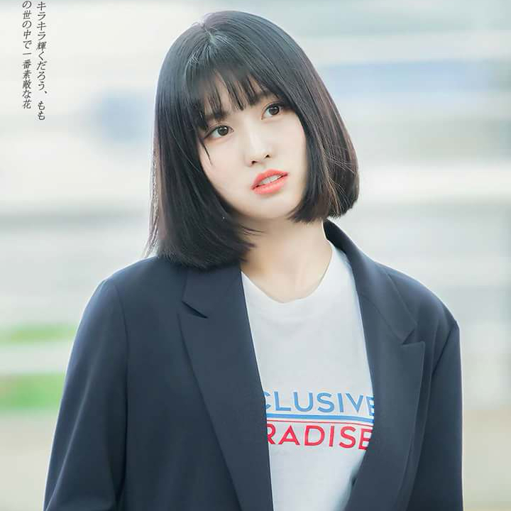 TWICE의 최신 사진