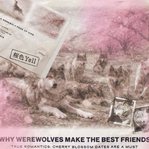 Behind-the-scenes cut of Taki (&TEAM)