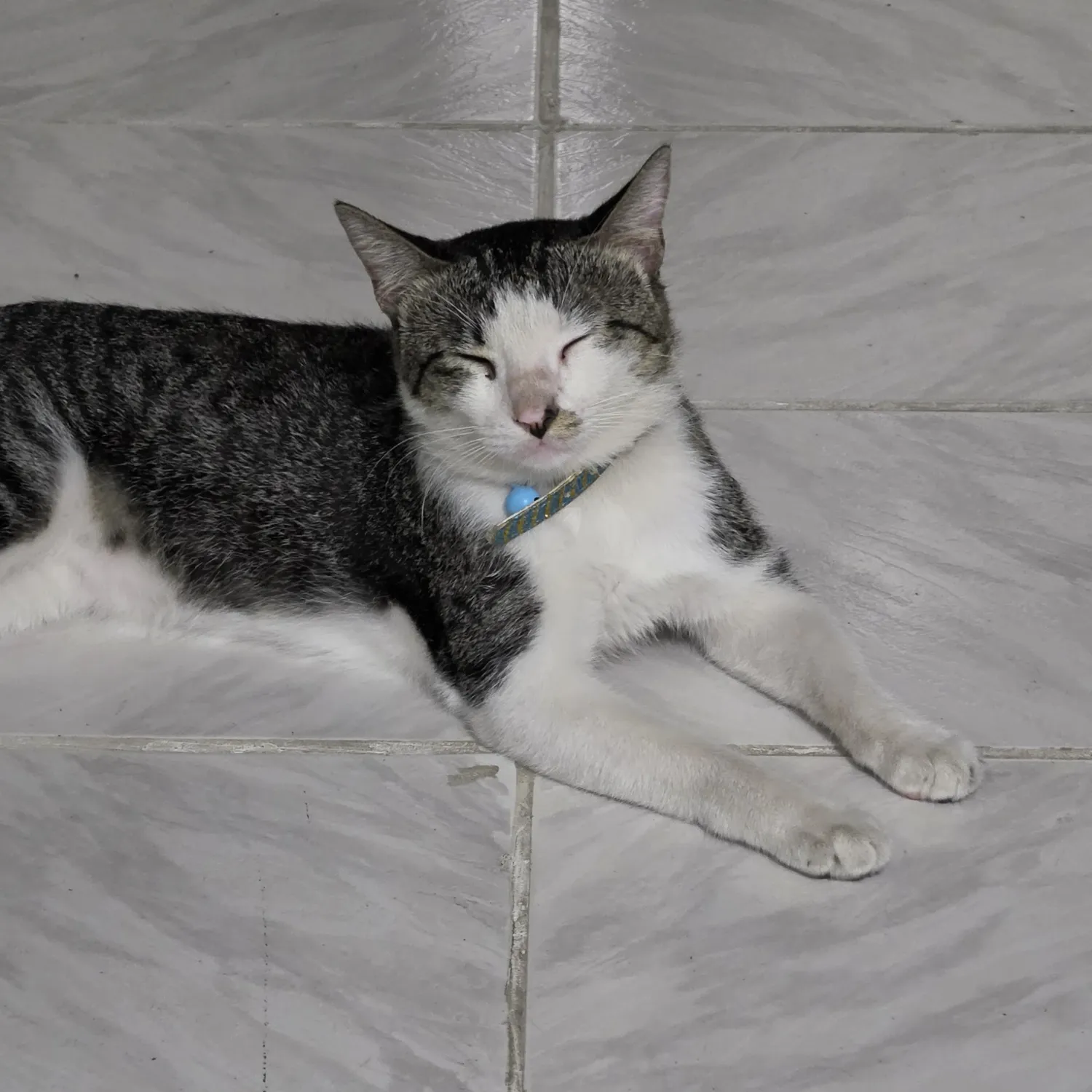 SEVENTEEN的幕後花絮