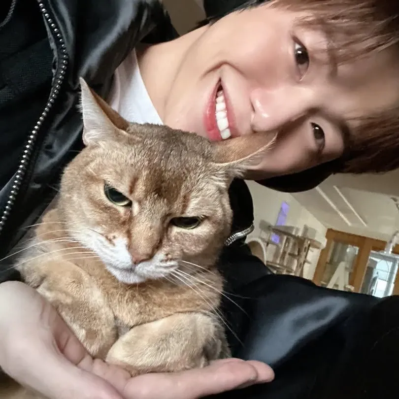 강다니엘의 비하인드 컷