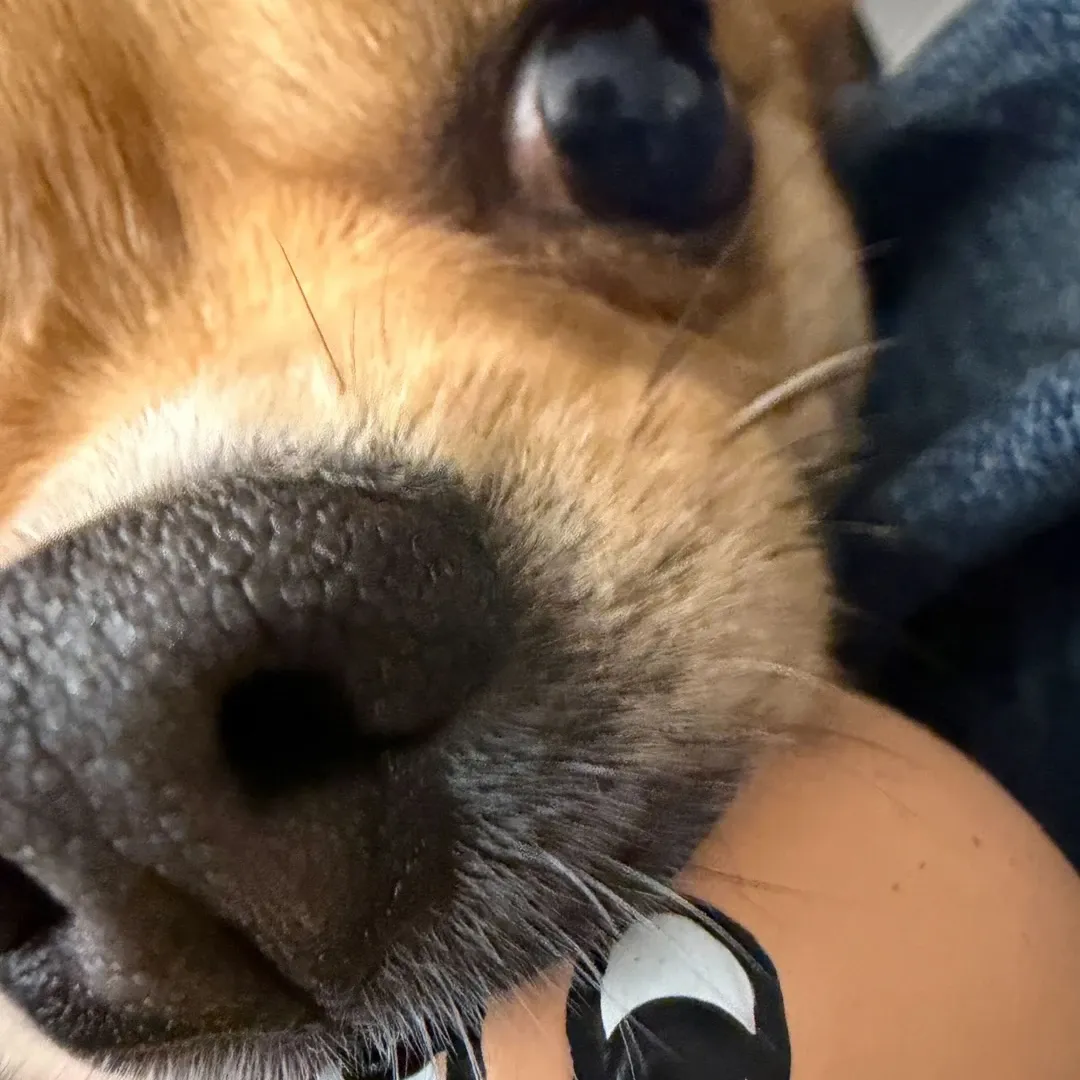 에반 팬이 찍은 순간