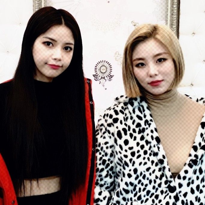 MAMAMOOの最近の活動写真