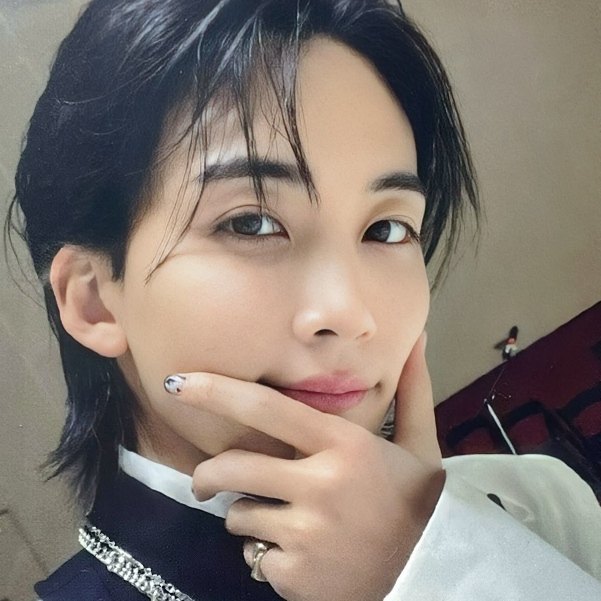 세븐틴 팬이 찍은 순간