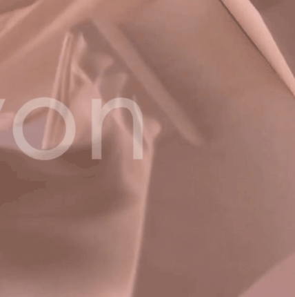 형원 (몬스타엑스) 팬이 찍은 순간