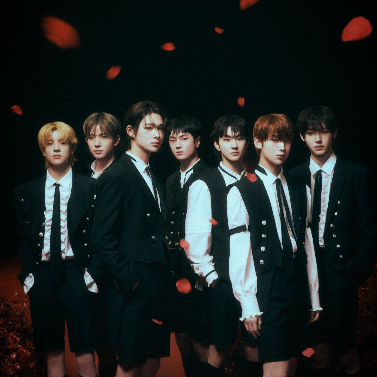 Momen yang diabadikan oleh penggemar ENHYPEN