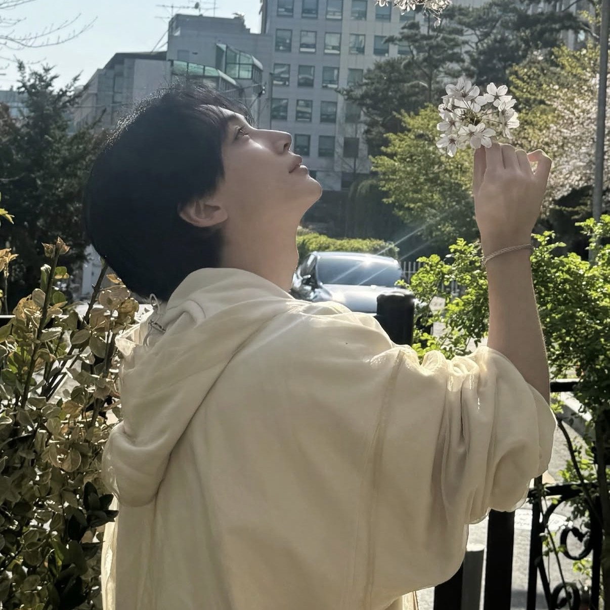 SEVENTEEN的最新照片