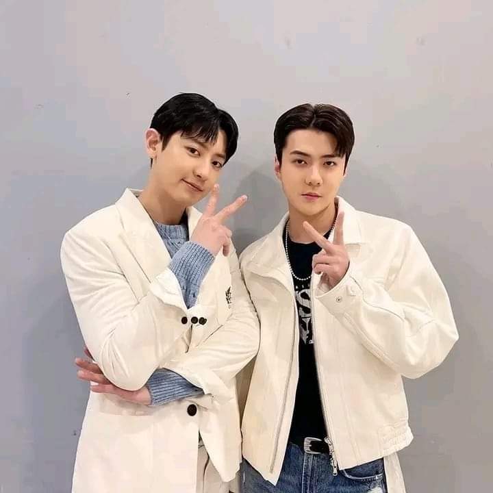 Recent activity shot of EXO