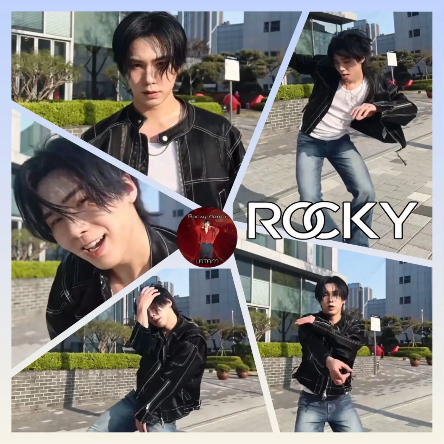 Recent activity shot of Rocky