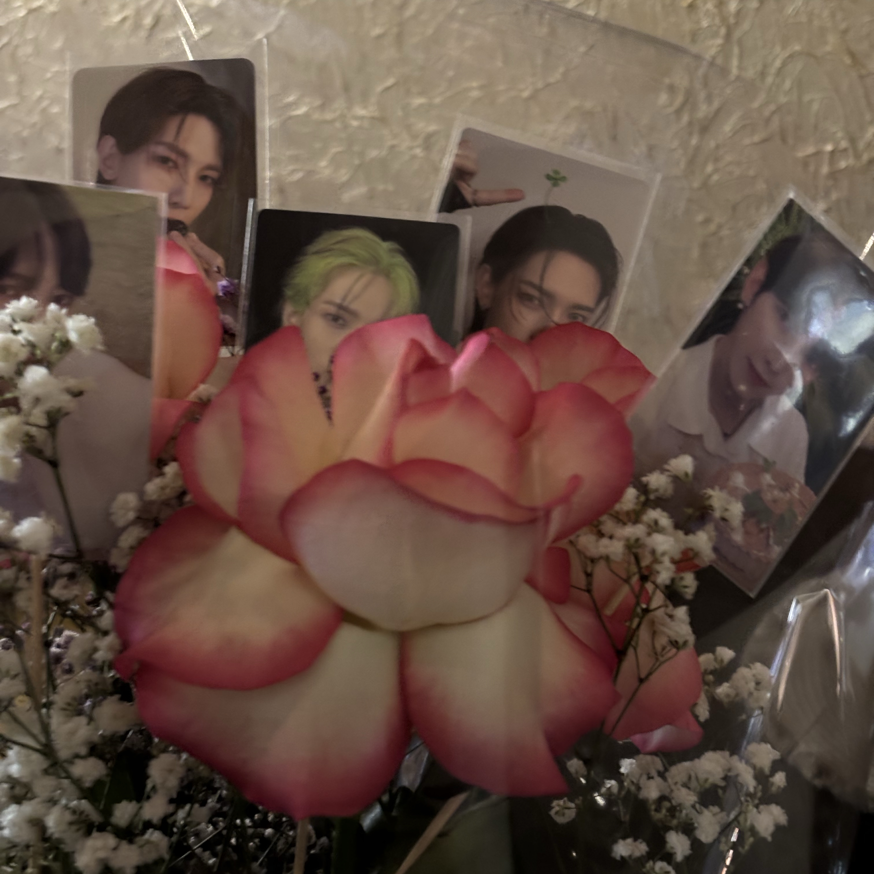 Recent activity shot of Yeosang (ATEEZ)