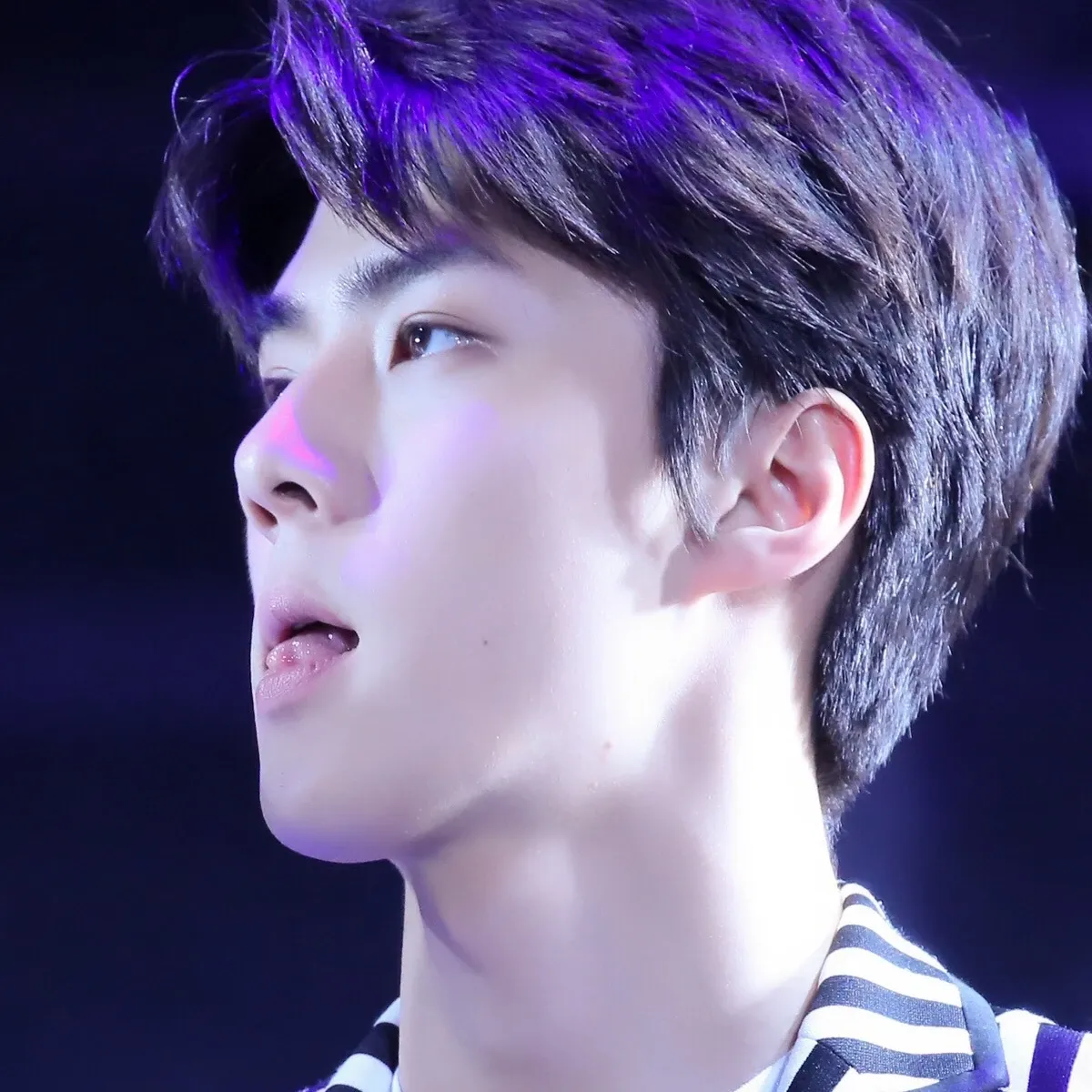 세훈 (EXO) 최근 활동샷