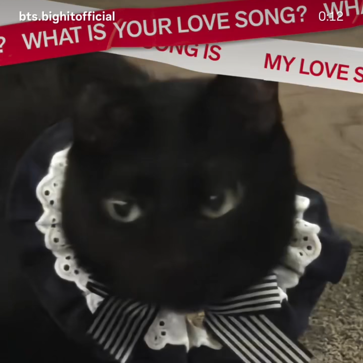 SUGA (防弹少年团)的最新照片