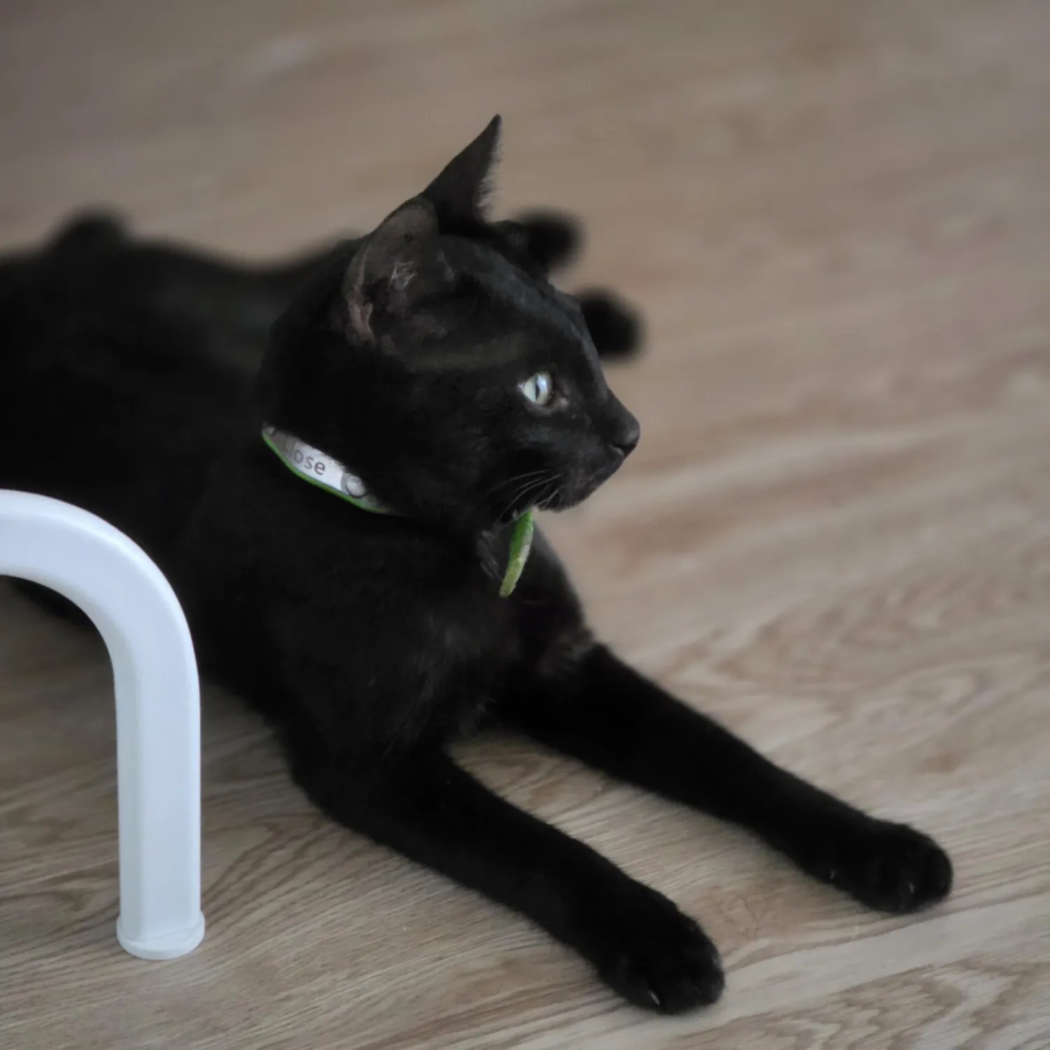 세븐틴 팬이 찍은 순간