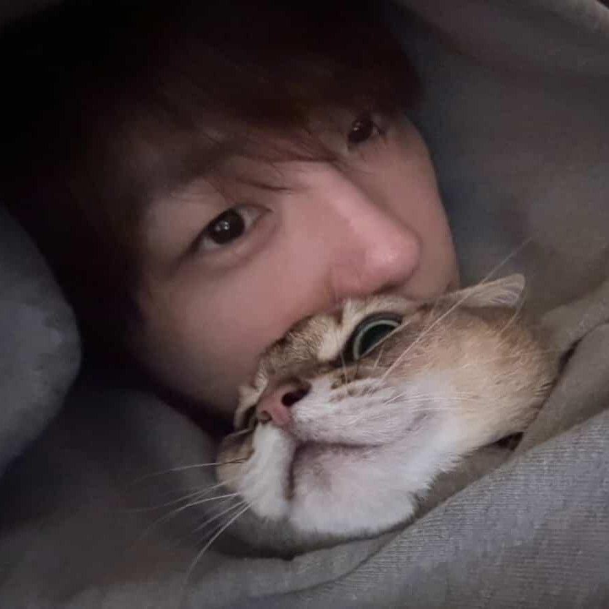 강다니엘 팬이 찍은 순간