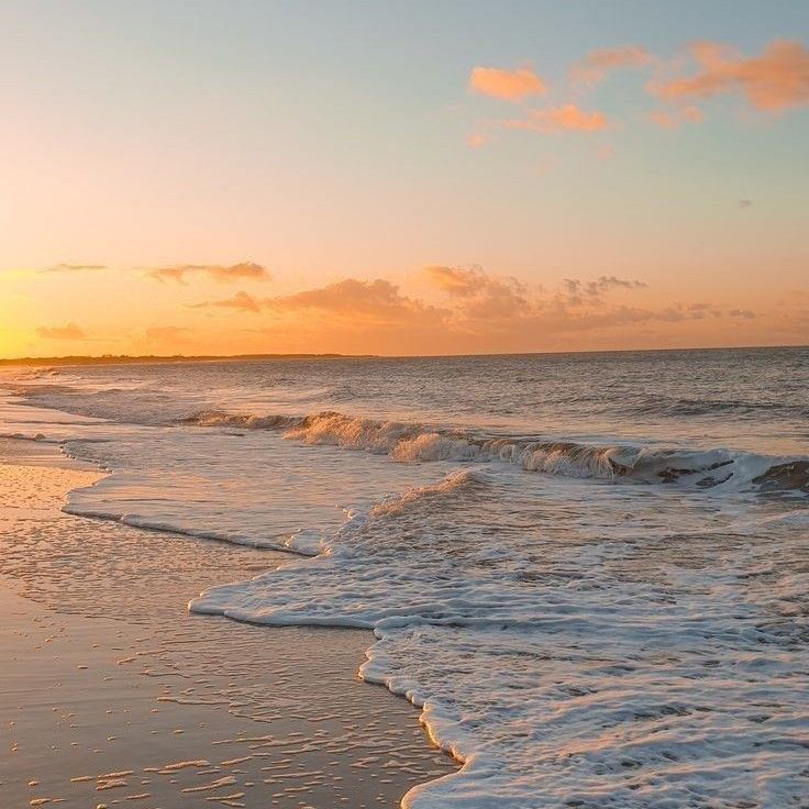 EXO의 최신 사진