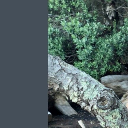 Behind-the-scenes cut of Moonbyul (MAMAMOO)