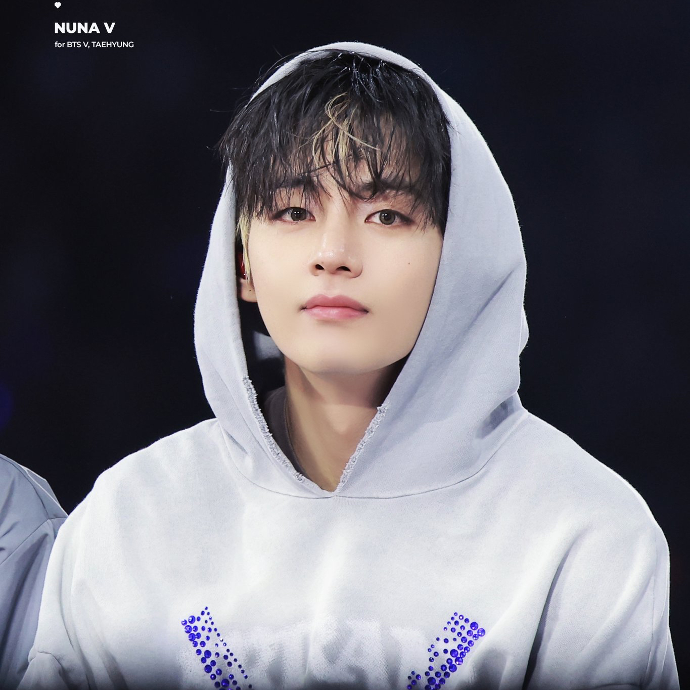 Potret di balik layar V (BTS)