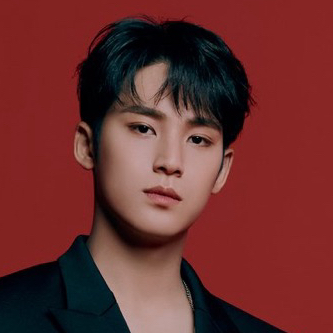 A moment captured by Mingyu (SEVENTEEN)'s fan