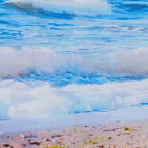 Latest photo of Joohoney (MONSTA X)