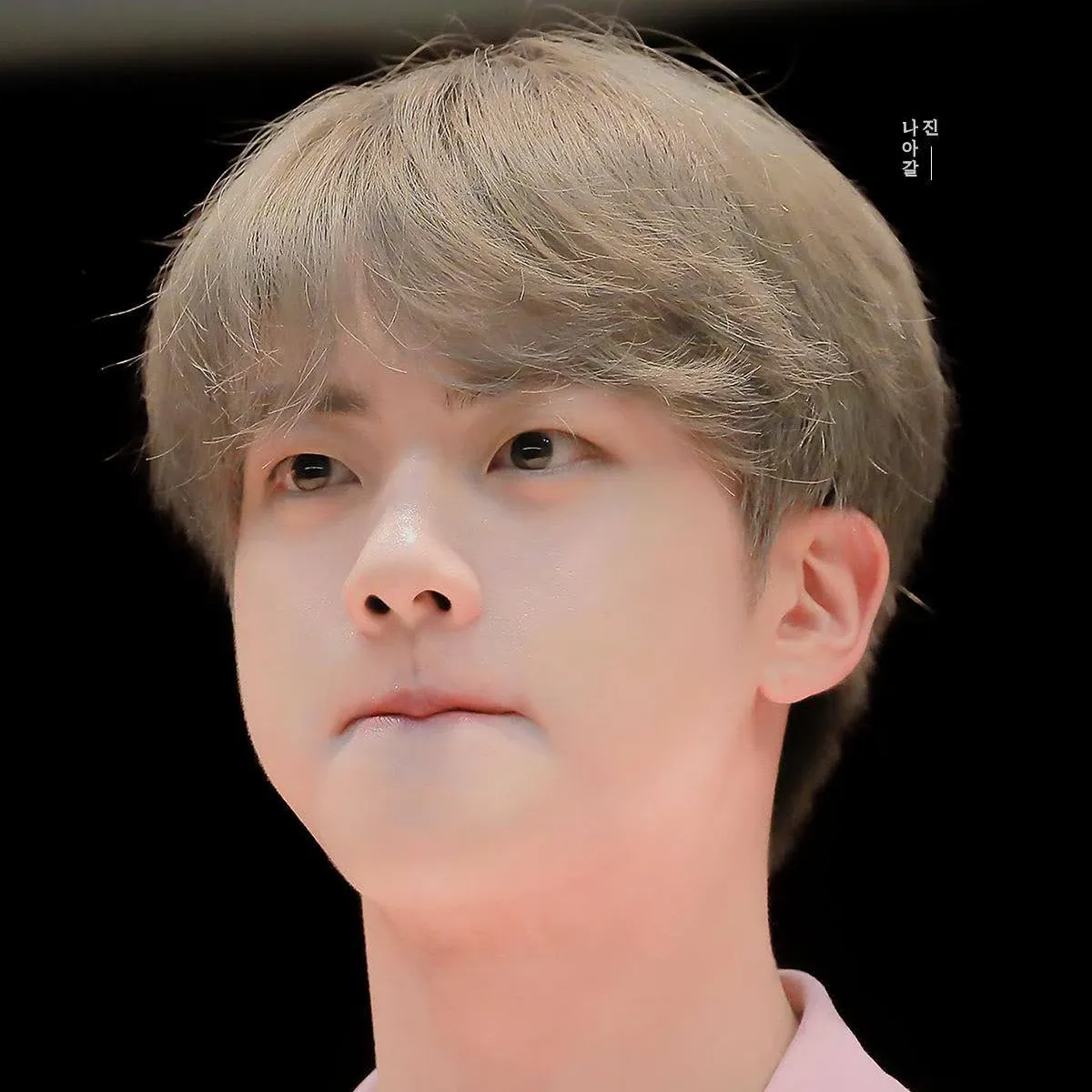 진 (방탄소년단) 팬이 찍은 순간