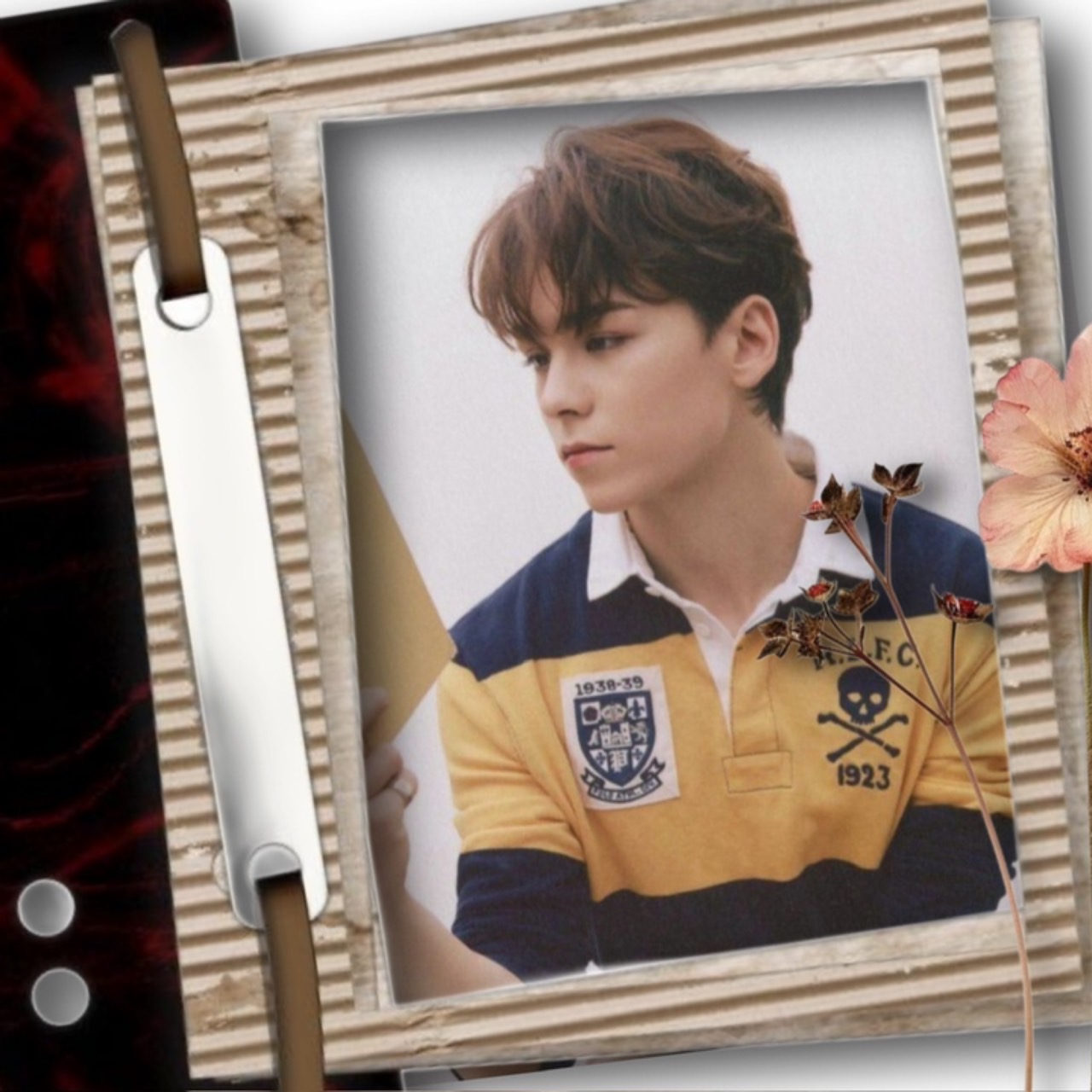 A moment captured by Vernon (SEVENTEEN)'s fan