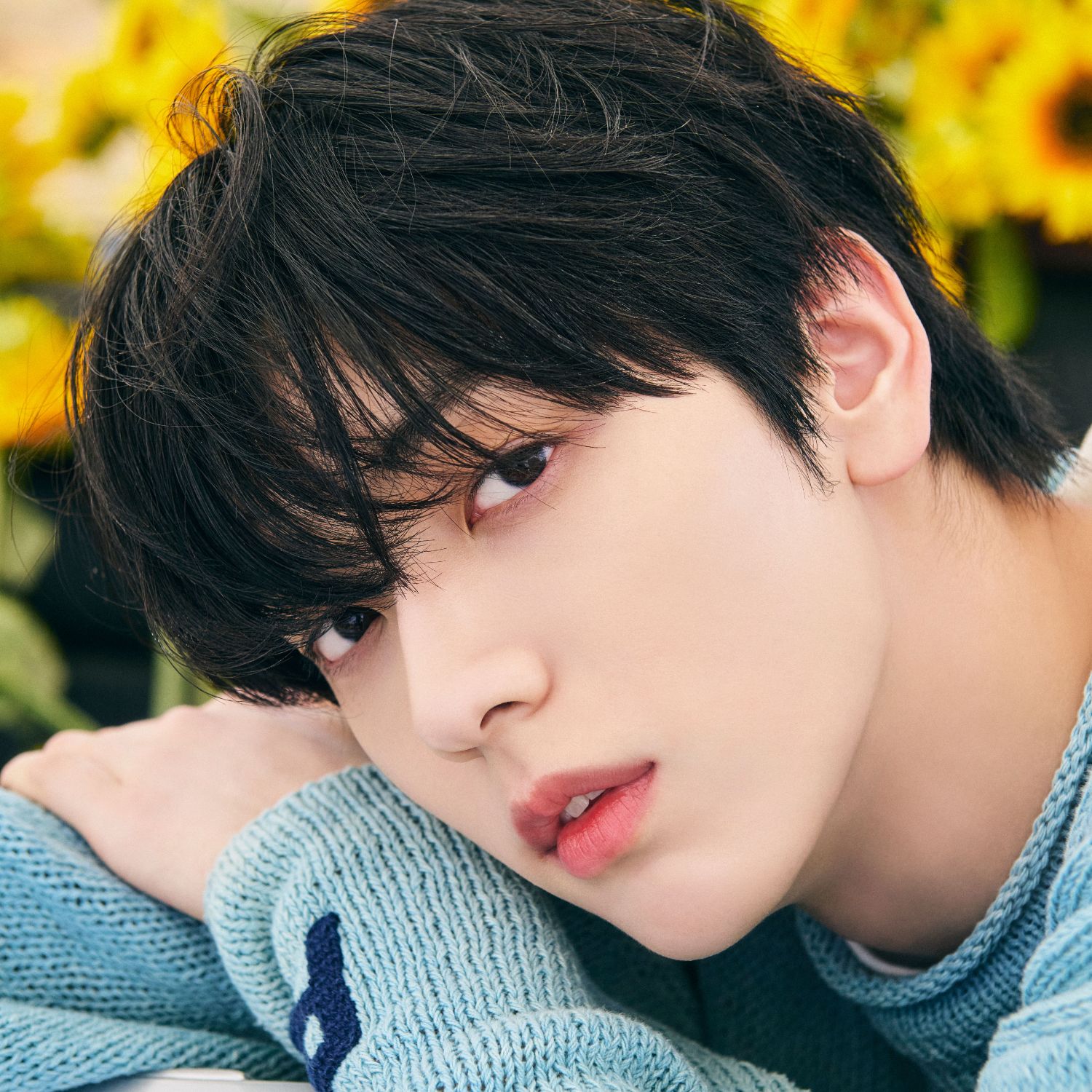 투모로우바이투게더 최근 활동샷