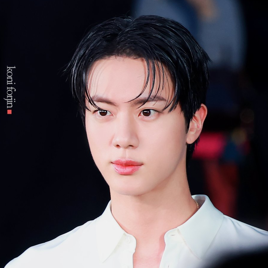 진 (방탄소년단) 팬이 찍은 순간