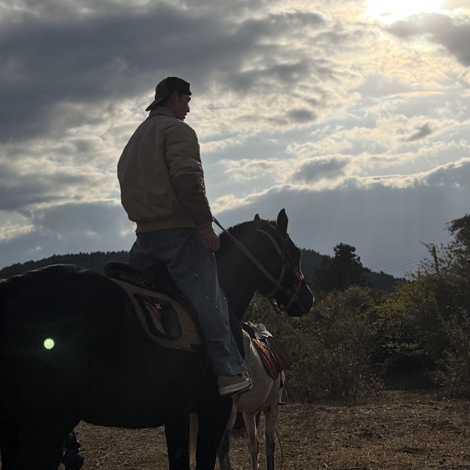 백호의 비하인드 컷
