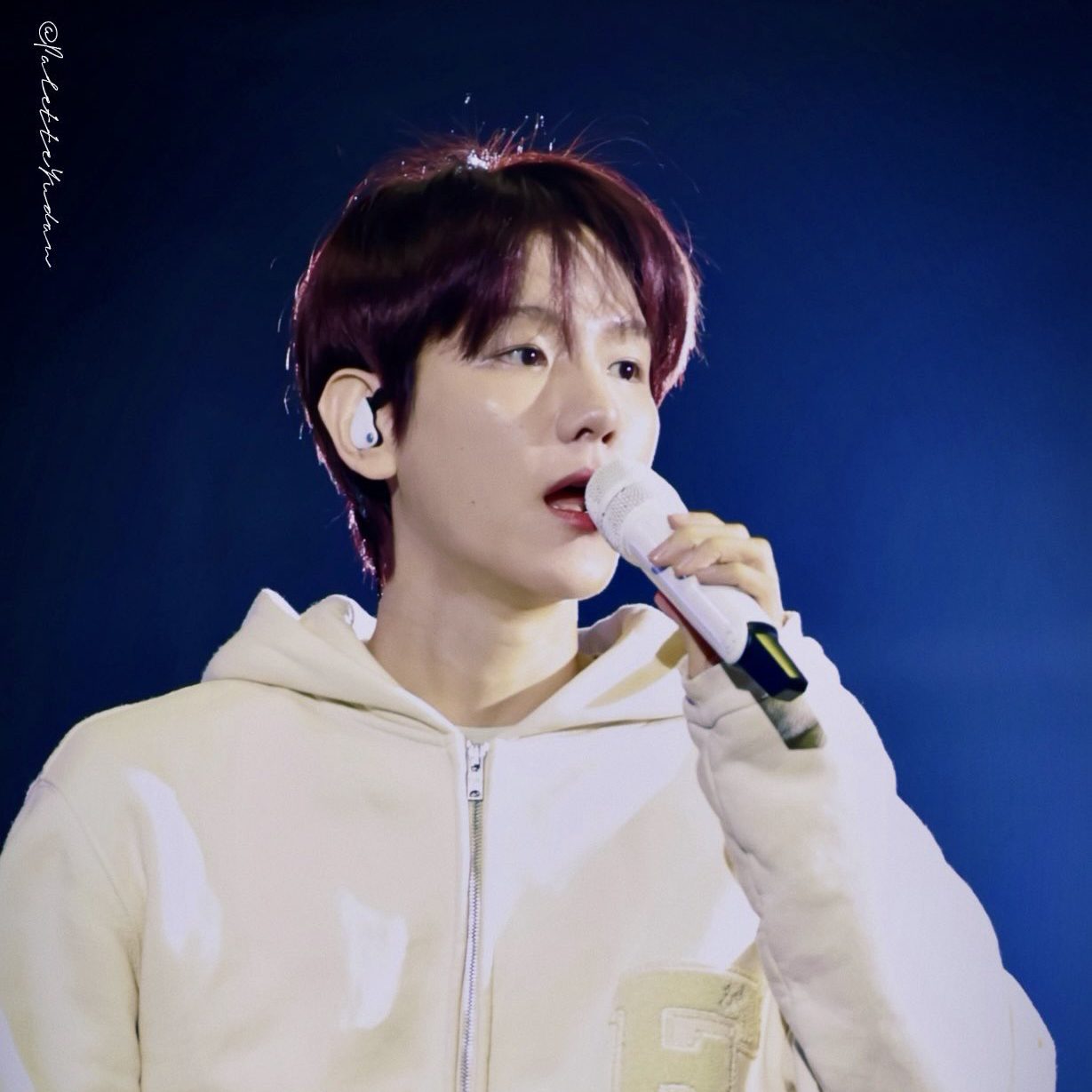 백현 (EXO)의 최신 사진