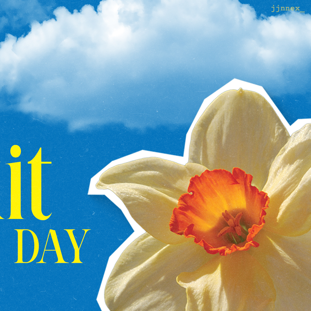 Behind-the-scenes cut of Nex (BUS)