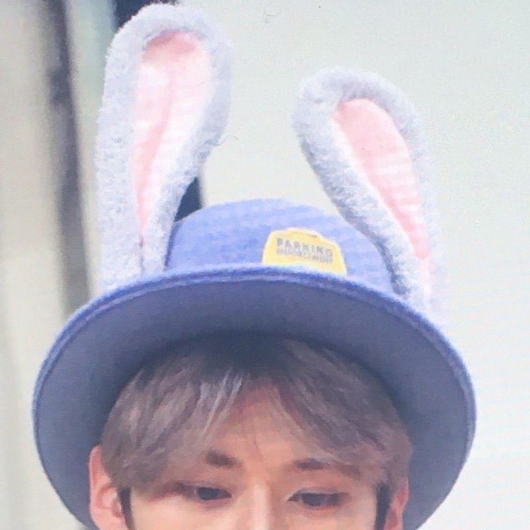 Stray Kids 최근 활동샷