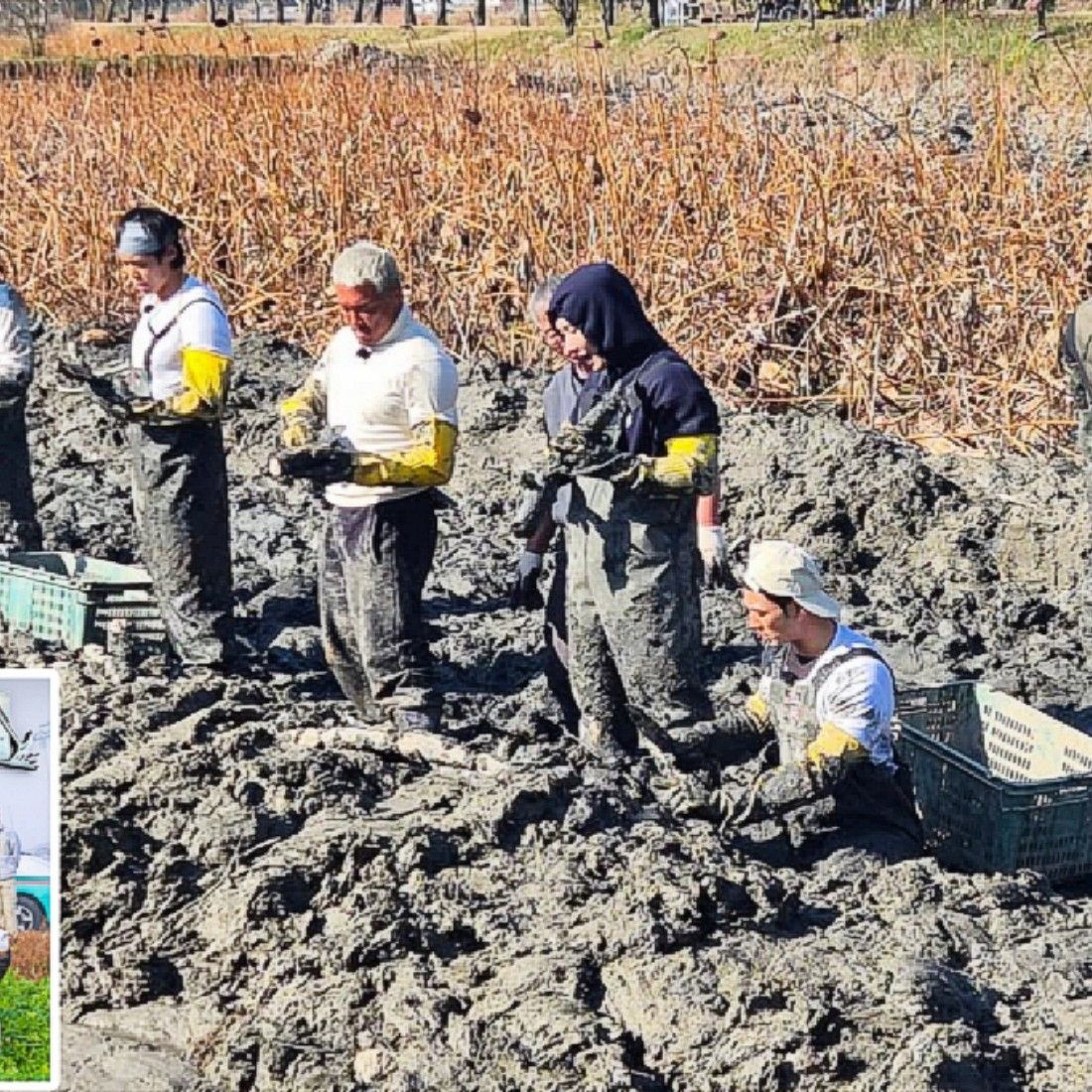 白虎的幕后花絮