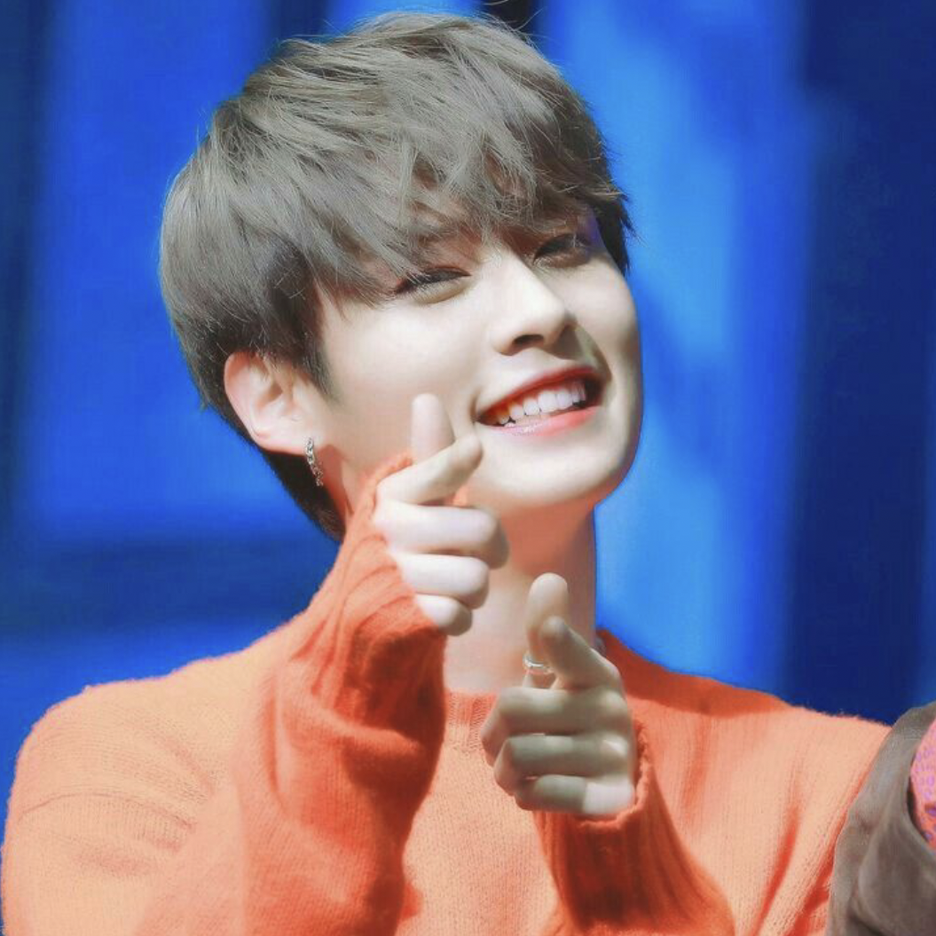 리노 (Stray Kids) 팬이 찍은 순간