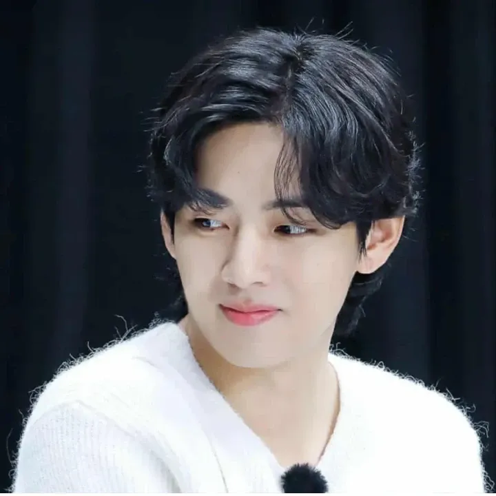 뷔 (방탄소년단) 팬이 찍은 순간