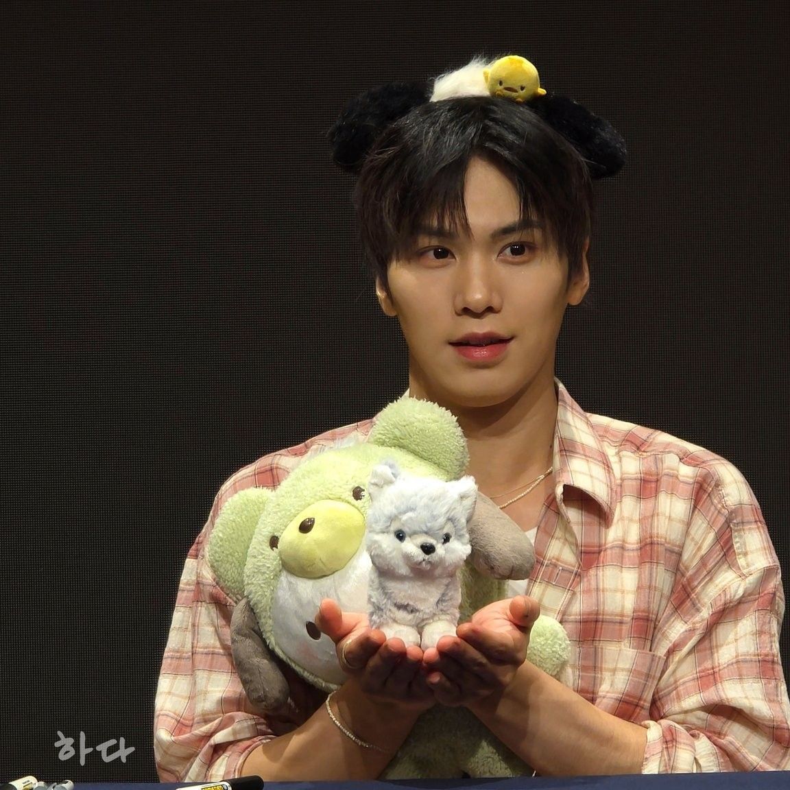 Recent activity shot of Rocky