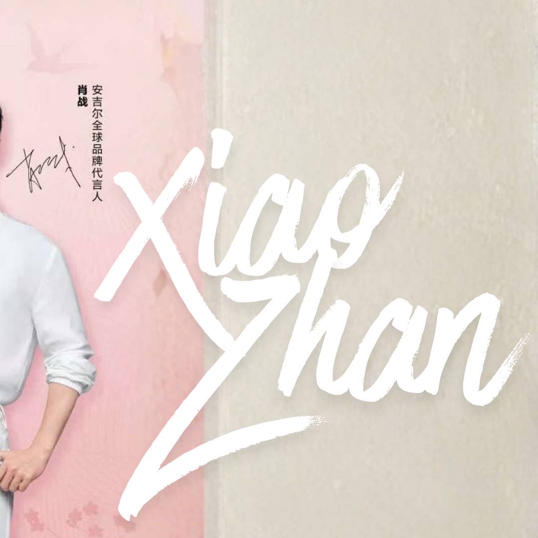 A moment captured by Xiao Zhan's fan