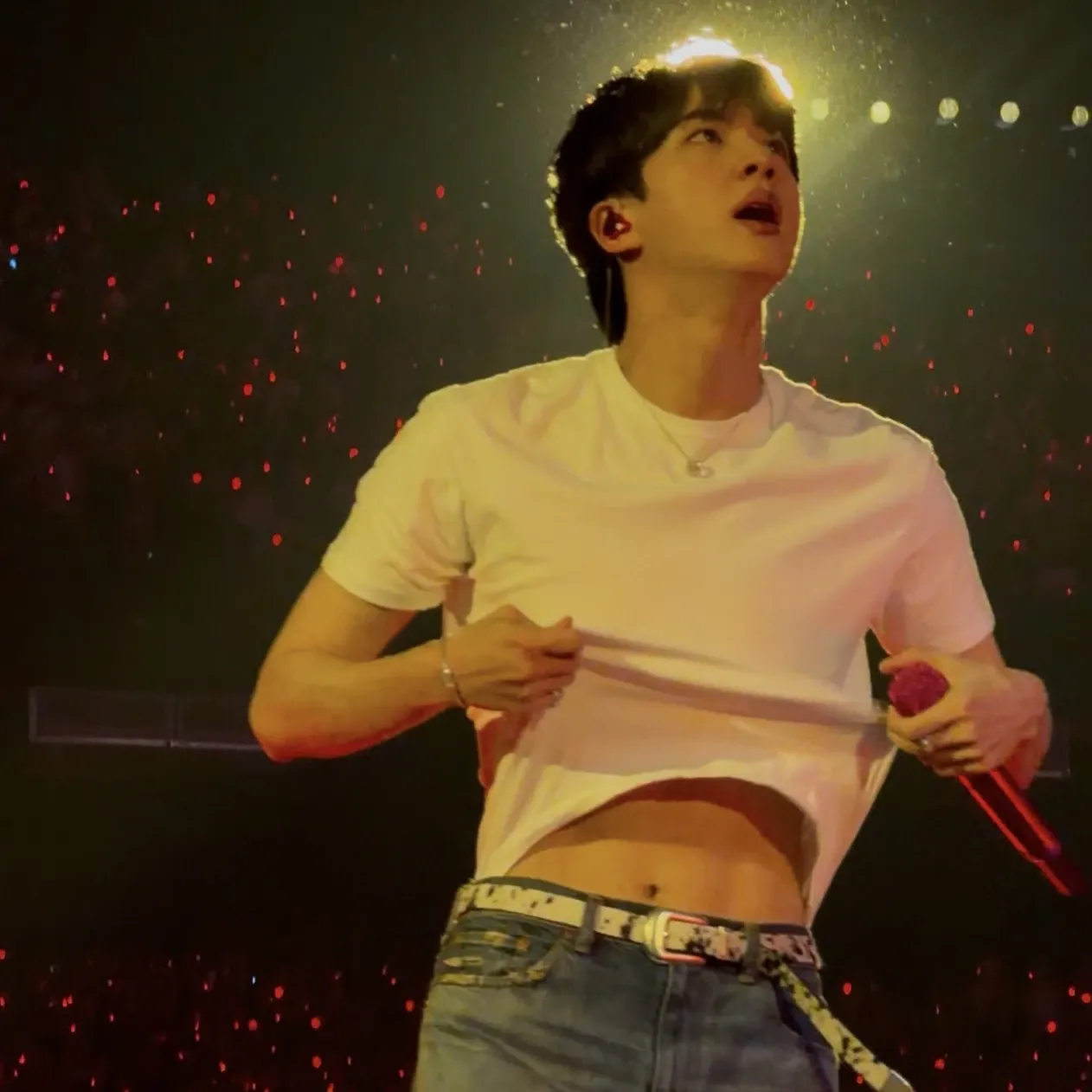 Momen yang diabadikan oleh penggemar Jin (BTS)
