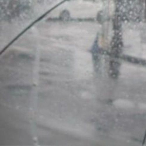 Recent activity shot of Hong (LYKN)