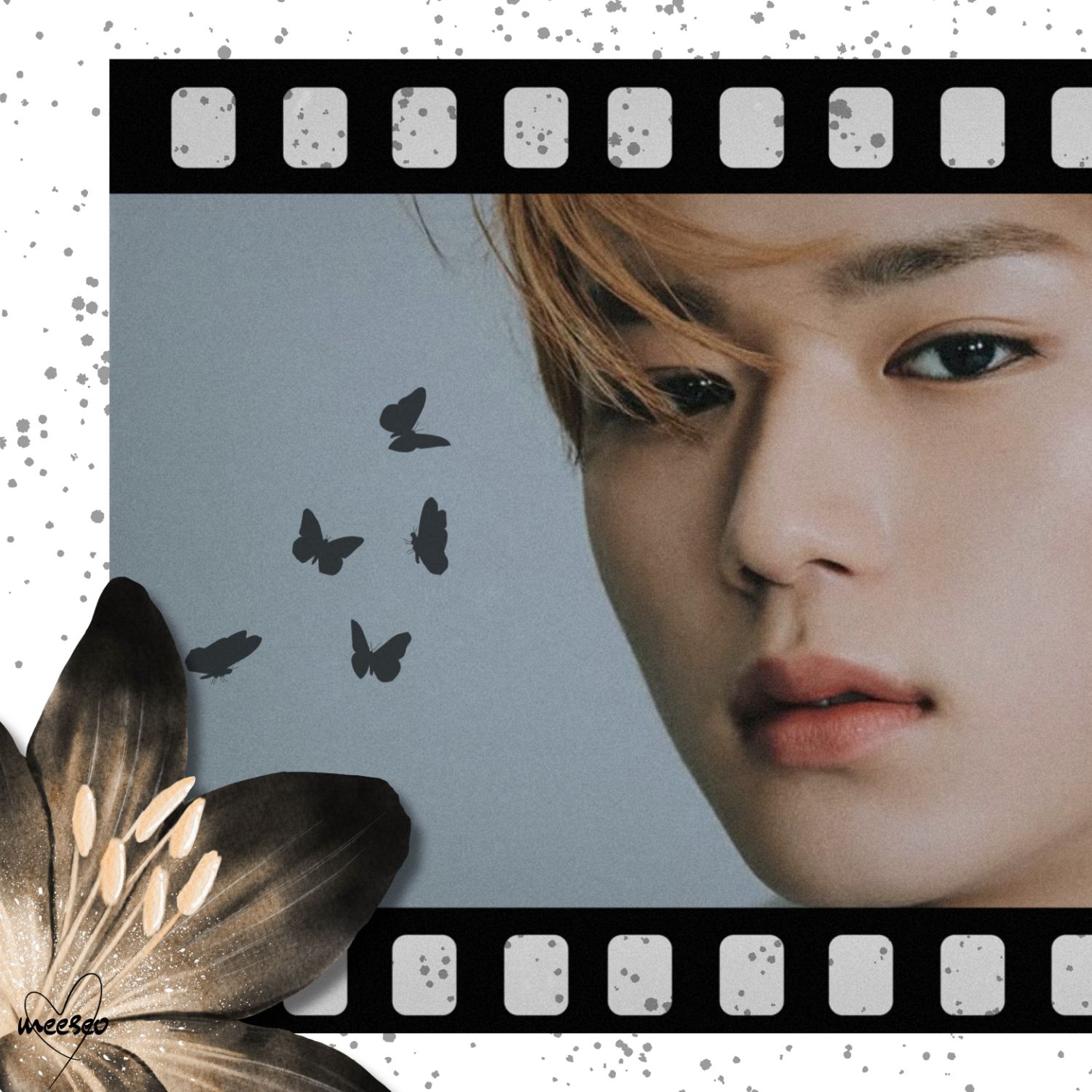 K-POP posts beloved by 김준서 (알파드라이브원) fans